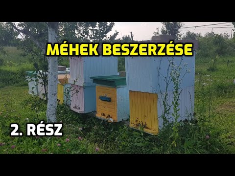 Tudnivalók a méhek beszerzése előtt / Sorozat , 2-ik rész