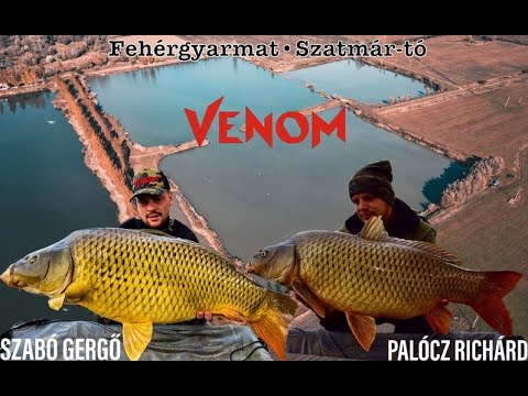 Őszi pontyhorgászat a Szatmár tavon VENOM bojlikkal (HD)