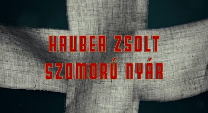 Hauber Zsolt - Szomorú nyár (Lounge mix) #szomorunyar #magyarzene