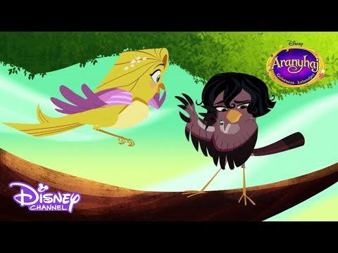 Idefenn | Aranyhaj gubancos kalandja | Disney Csatorna