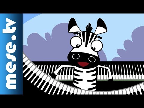 Kiskalász Zenekar: Zooli a zebra (gyerekdal) | MESE TV