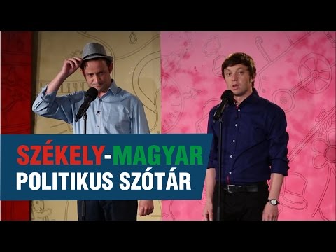 Szomszédnéni: Székely-magyar politikus szótár