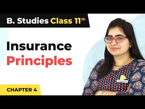 Insurance : Principles – Business Services | Class 11 Business Studies
