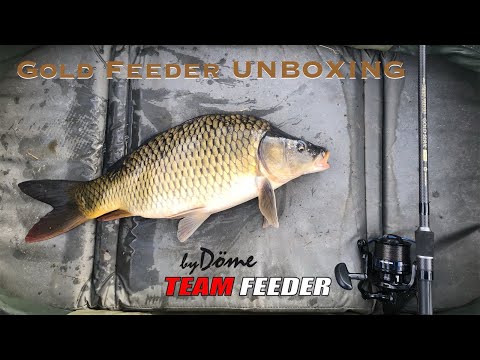 Bydöme Team Feeder Gold Serie UNBOXING