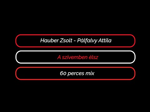 Hauber Zsolt – Pálfalvy Attila: A szívemben élsz (60 perces mix) #aszivembenelsz #synthpop