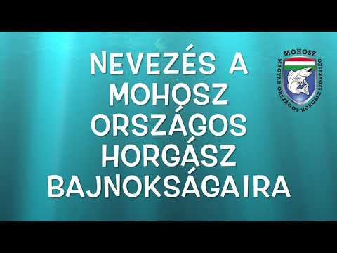 NEVEZÉS A MOHOSZ ORSZÁGOS HORGÁSZ BAJNOKSÁGAIRA – CSAPAT VERSENYEK