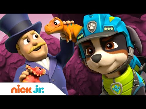 PAW Patrol Pups Save Dinos from Mayor Humdinger! | Nick Jr.