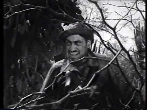 Szomjúság 1961-es kalandfilm