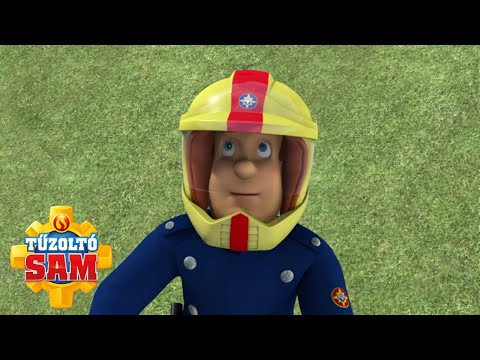 Tűzoltó Sam | Tűzoltó Sam a megmentésére! | összeállítás | Rajzfilmek gyerekeknek