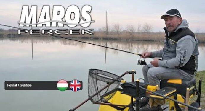 MAROS PERCEK - Erdei Attila - Hideg vízi hosszú előkés feeder horgászat