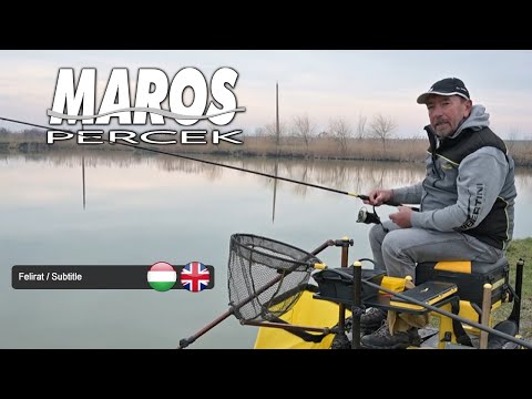MAROS PERCEK – Erdei Attila – Hideg vízi hosszú előkés feeder horgászat