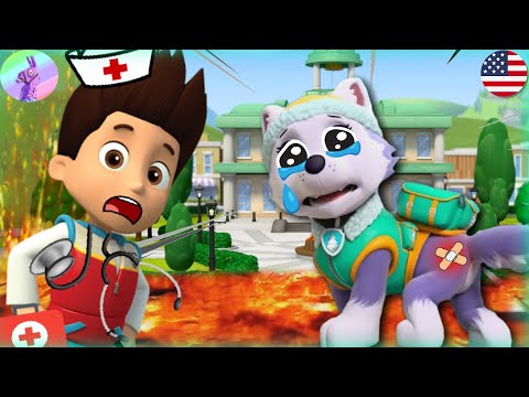 PAW Patrol On a Roll: MIGHTY PUPS Save Adventure Bay! – Paw Patrol Full Episodes! #4 – Nick Jr HD