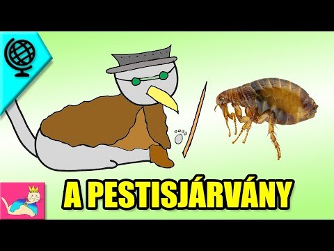 A Pestisjárvány – Tökéletlen Történelem [TT]
