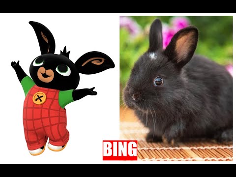 Bing nyuszi és barátai a valóságban/ Bing bunny characters in real life
