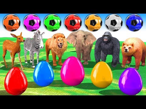 Learn Colors With Animals Soccerball Surprise Eggs | Wild Animals Outdoor Playground