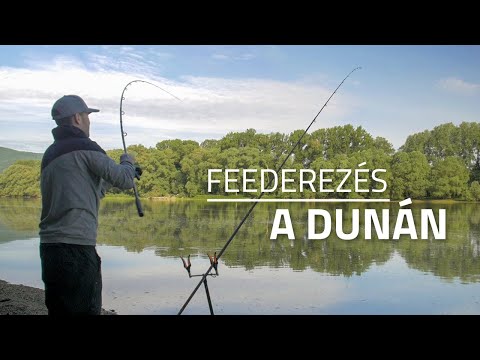 Tavaszi feederezés a Dunán | B&V Fishing