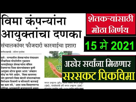 पिक विमा बातम्या 2021 | maharashtra kharip pikvima batmi | crop insurance | पिक विमा बातमी #shorts