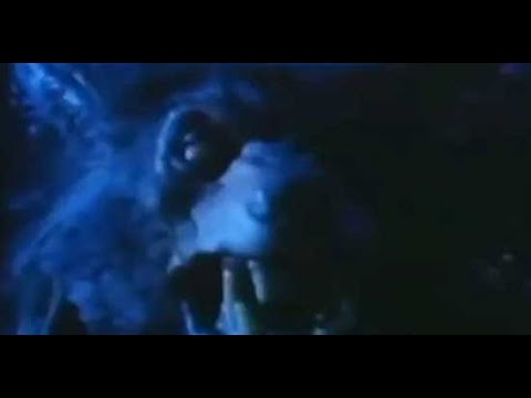 Arizónai farkasvér (1995) – Teljes film magyarul