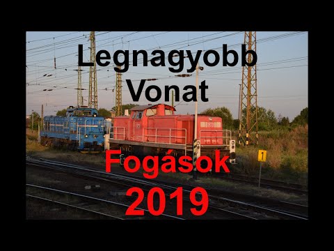 2019 Legnagyobb Vonat Fogásai