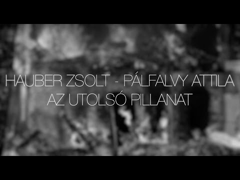 Hauber Zsolt – Pálfalvy Attila: Az utolsó pillanat (2021)