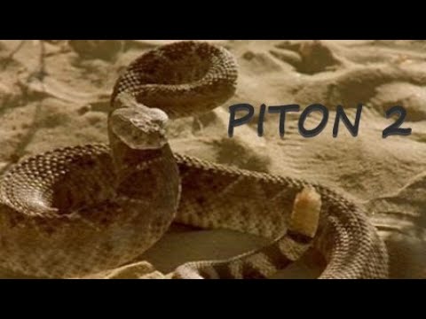 Piton 2 (2001)