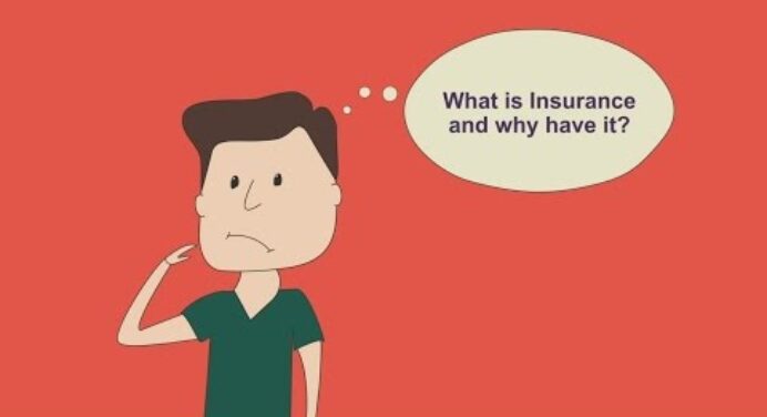 Cartoon insurance