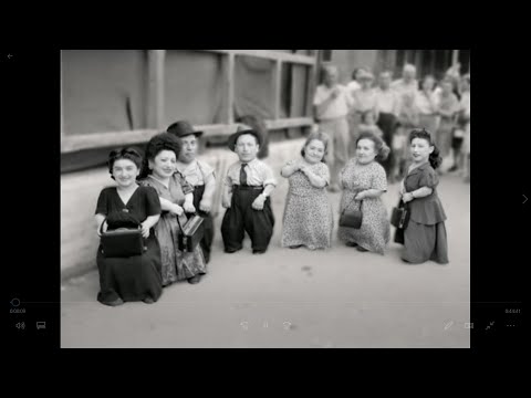 A hét törpe Auschwitzban (Teljes magyarul beszélő dokumentum film)