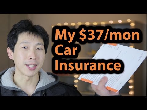 My $37 a Month Car Insurance | BeatTheBush