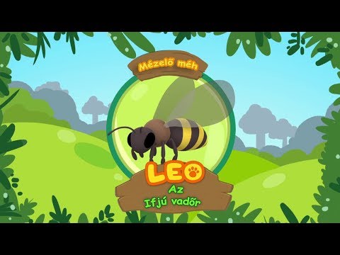 Leo az ifjú vadőr – A mézelő méh
