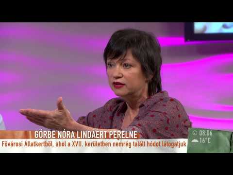 Görbe Nóra 15 évi jogdíjért pereskedik – 2015.05.14. – tv2.hu/mokka