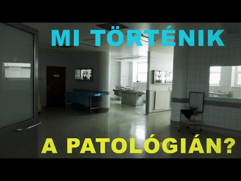 A legtöbben nem jutnak ide be élve – a patológián jártunk