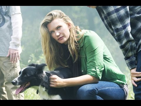Kutyaszerencse (2010) – teljes film magyarul