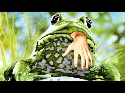 Békák (1972) – Teljes film magyarul