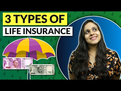 Life Insurance for beginners | 3 types of life insurance in India | Abhi and Niyu
