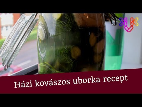 Kovászos uborka recept | Házilag készült savanyúság receptek