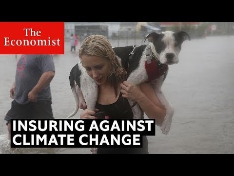 Can you insure against climate change? | The Economist