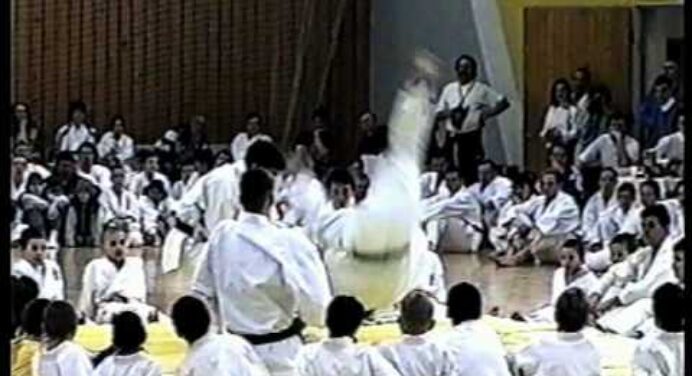 De-Pression - Karate (Zene: Darab István, Szöveg: Németh Nyiba Sándor) www.nyiba.hu