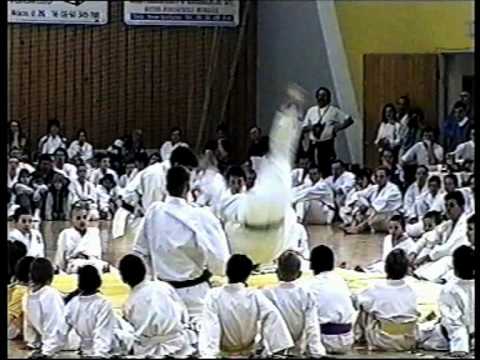 De-Pression – Karate (Zene: Darab István, Szöveg: Németh Nyiba Sándor) www.nyiba.hu