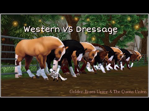 Western VS Dressage | SSO