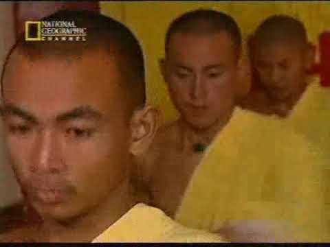 A Shaolin Kung Fu mítoszai és logikája (2002) Dokumentumfilm