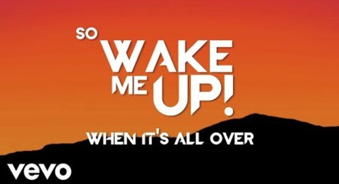 Avicii - Wake Me Up (Lyric Video)