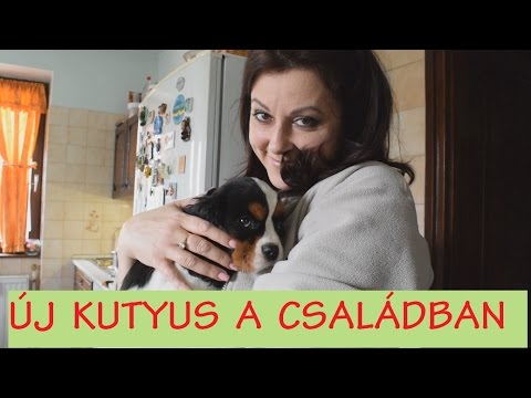 Új kutyus a családban | Szezonnyitó grillezés VLOG