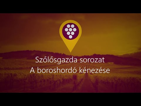 Szőlősgazda sorozat – A boroshordó kénezése