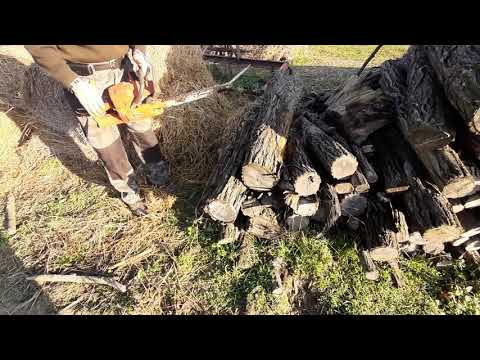 Husqvarna láncfűrész – Husqvarna 268 teszt – fa vágás – tűzifa fűrészelés