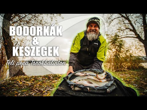 Bodorkák & Keszegek – Téli horgászat Törökbálinton