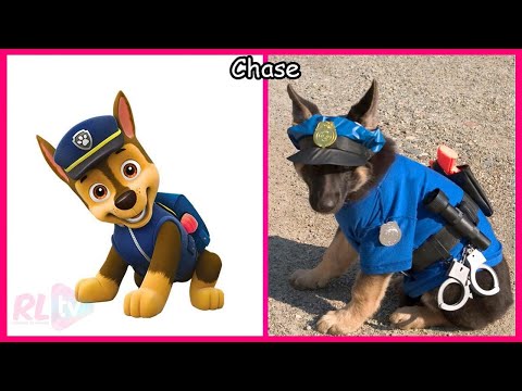 PAW Patrol The Movie Characters IN REAL LIFE 💥 You Didn’t Watch