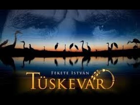 Tüskevár – magyar családi film, 99 perc, 2012