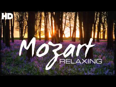 The Best Relaxing Classical Music Ever By Mozart – Relaxation Meditation Reading Focus