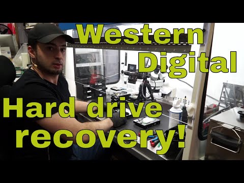 Western Digital hard drive data recovery: heads swap