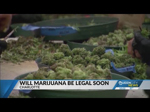 Will Marijuana be legal soon?